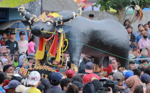 Tradisi Keboan memiliki makna khusus bagi kami karena dapat mempererat tali silaturahmi