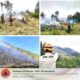 Kawasan Perhutani Seluas 20 Ha Di Tempat Wisata Kawah Wurung Terbakar.