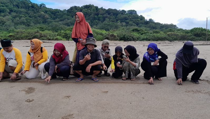 Lentera Sastra Lepas Tukik di Pantai Sukamade