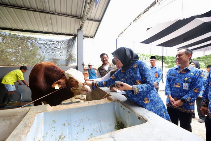 Bupati Ipuk kunjungi Enzo Farm Banyuwangi Di Desa Dasri