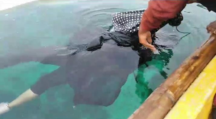 Mayat Perempuan Tanpa Identitas Ditemukan Mengapung di perairan TN Bali Barat