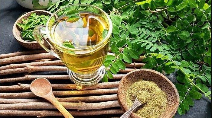 Teh daun Kelor yang Kaya Manfaat Kesehatan