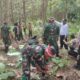 TNI Turut Berpartisipasi dalam Penghijauan Alam di Hutan Karetan