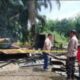 Si jago Merah Ngamuk Hanguskan Rumah Warga di Padang Lawas