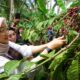 Lindungi Identitas Asli, Kopi Robusta Banyuwangi dalam Proses Verifikasi Indikasi Geografis