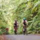Tour de Banyuwangi Ijen 2024, Tantangan Track Ekstrem