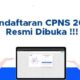 Pemkab Banyuwangi Buka Rekrutmen CPNS,