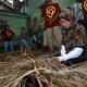 Dampak Positif Pariwisata Banyuwangi, Anyaman Atap Ilalang Jadi Peluang Ekonomi Baru