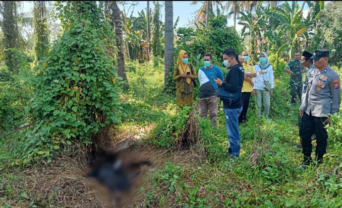 Warga Sukojati Digegerkan dengan Temuan Kerangka Manusia di Kebun