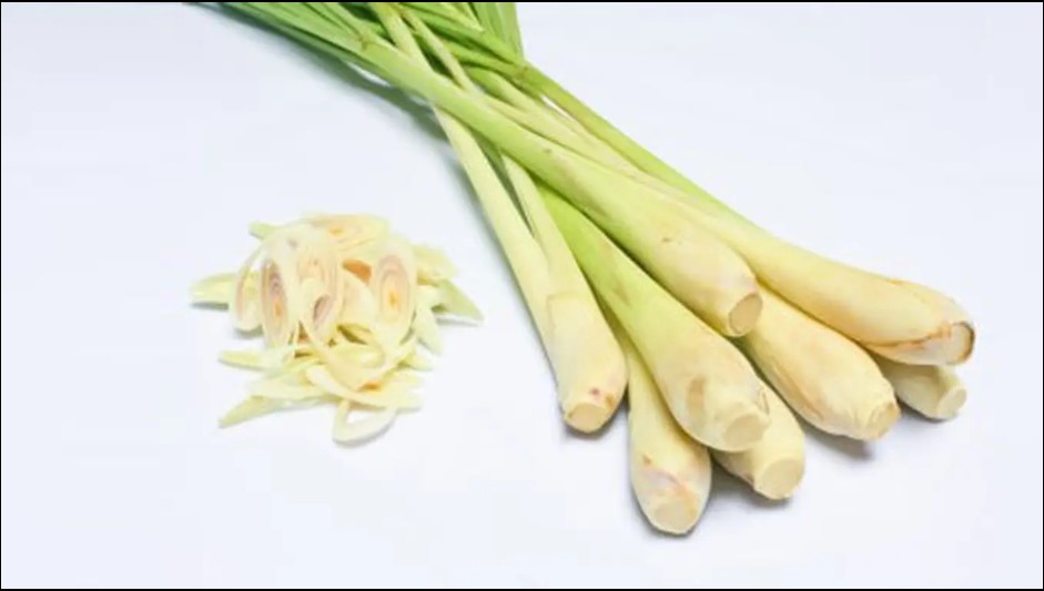 Manfaat dan Khasiat Batang Serai untuk Kesehatan