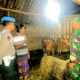 Polsek Kunir Tingkatkan Patroli Malam untuk Cegah Pencurian Ternak