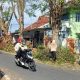 Jalan HOS Cokroaminoto Cungkring Terlihat Sejumlah Pohon Diperempes: Upaya Jaga Keamanan Pengguna Jalan