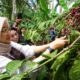 Kopi Robusta Java Banyuwangi Resmi Terima Sertifikat Indikasi Geografis dari Kemenkumham