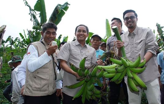 Kunjungan Menteri Kehutanan di Lumajang Buka Peluang Ekonomi Baru bagi Sektor Perhutanan Sosial
