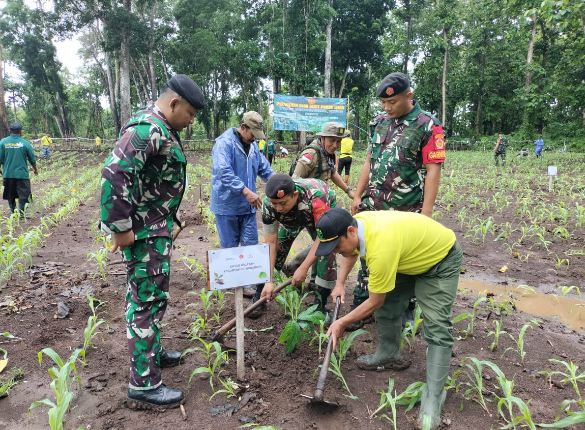 penanaman 2.500 pohon di Kawasan Hutan Wisata Rintisan Sumber Gedang, Desa Kalipait, Kecamatan Tegaldlimo, Banyuwangi