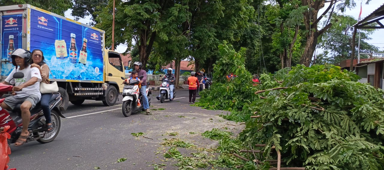 Dinas PU CKPP Pangkas Pohon di Sepanjang Jalan Jaksa Agung Suprapto