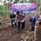 Polresta Banyuwangi Dukung Program Lumbung Pangan, Tanam Jagung Serentak