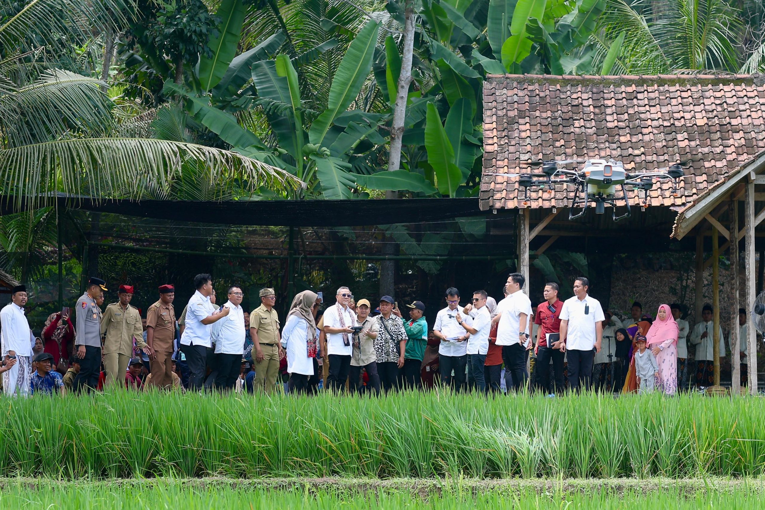 Menko Zulhas Puji Regenerasi Petani Muda di Banyuwangi