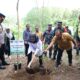Bupati Banyuwangi bersama Stakeholder Tanam 66 Ribu Pohon di Lereng Ijen untuk Cegah Krisis Lingkungan