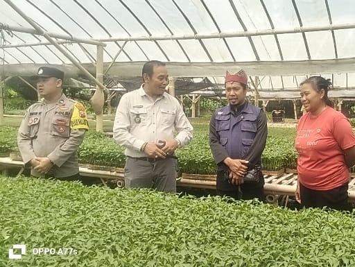 Polsek Cluring dan Pemdes Sarimulyo Monitoring Kebun Tomat