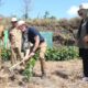 Denmark dan Wahid Foundation Luncurkan Program Agroforestry di Banyuwangi