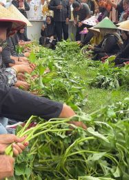 Angkat Kearifan Lokal, Unting-Unting Kangkung Jadi Tradisi Penataban