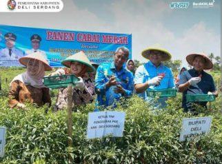 Bupati Deli Serdang Genjot Program Unggulan Ketahanan Pangan