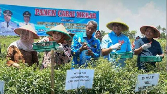 Bupati Deli Serdang Genjot Program Unggulan Ketahanan Pangan