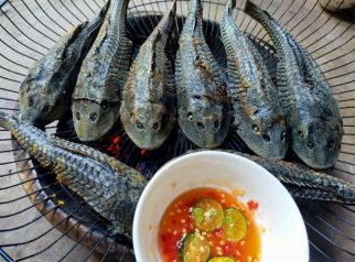 ikan sapu-sapu sambal