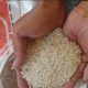 Kualitas Beras Bantuan Kemensos Sangat Jelek