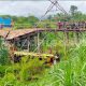 Jembatan Yang Rapuh Mengakibatkan Truk Terjun Kesungai di Gumukmas Jember