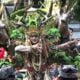 BEC 2023 the Magic of Ijen Geopark