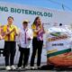 Bayer merilis Dekalb DK95R benih jagung bioteknologi