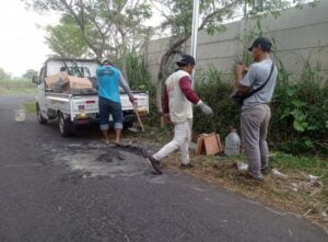 pengadaan Penerangan Jalan Umum