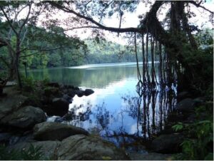 Danau Kastoba Surga Tersembunyi Di Pulau Bawean