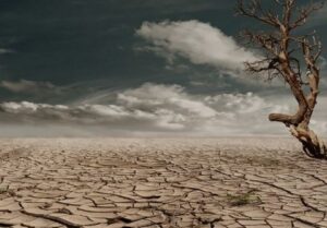Enam Kecamatan di Banyuwangi mulai merasakan kekeringan dampak el nino