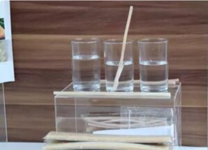 Sedotan Minuman Ramah Lingkungan dari Pati Sagu