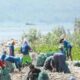 sungai watch bersihkan pantai tratas muncar
