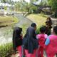 Program Sekardadu Pemkab Banyuwangi Meraih Nominasi TOP 30 Inovasi Pelayanan Publik Terbaik