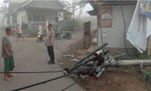 Tiang Listrik PLN Roboh, Dua Desa di Jember Mengalami Pemadaman dan Gangguan Lalu Lintas
