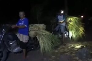 Tiga Pencuri Janur Kelapa Dihajar Massa di Lumajang, Motor Mereka Dibakar