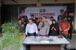 Tanam Ganja Di Pekarangan Rumah, Seorang Residivis Warga Sumberbaru Dibekuk Polres Jember