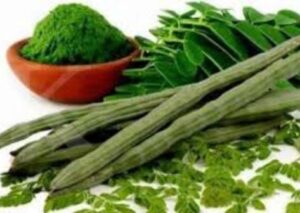 Manfaat Luar Biasa Daun Kelor untuk Kesehatan dan Kecantikan