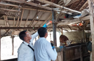 Bocah 11 Tahun di Banyuwangi Ditemukan Gantung Diri di Kandang Sapi
