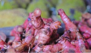 Jahe Merah, Tanaman Ajaib dengan Beragam Manfaat Kesehatan