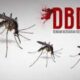Dinas Kesehatan Ajak Masyarakat Perkuat Gerakan Pemberantasan Sarang Nyamuk