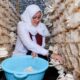 Dusun Glowong Menjadi Kampung Jamur