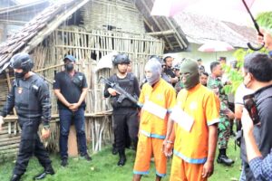 Dua Pelaku Pencurian Sapi Dilumpuhkan polres Lumajang