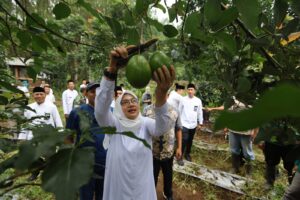 Program Bunga Desa Bupati Fokus Kembangkan Potensi Pertanian