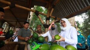 Potensi Sumber Daya Lokal Desa Bumiharjo untuk Jadi Sentra Perkebunan Alpukat